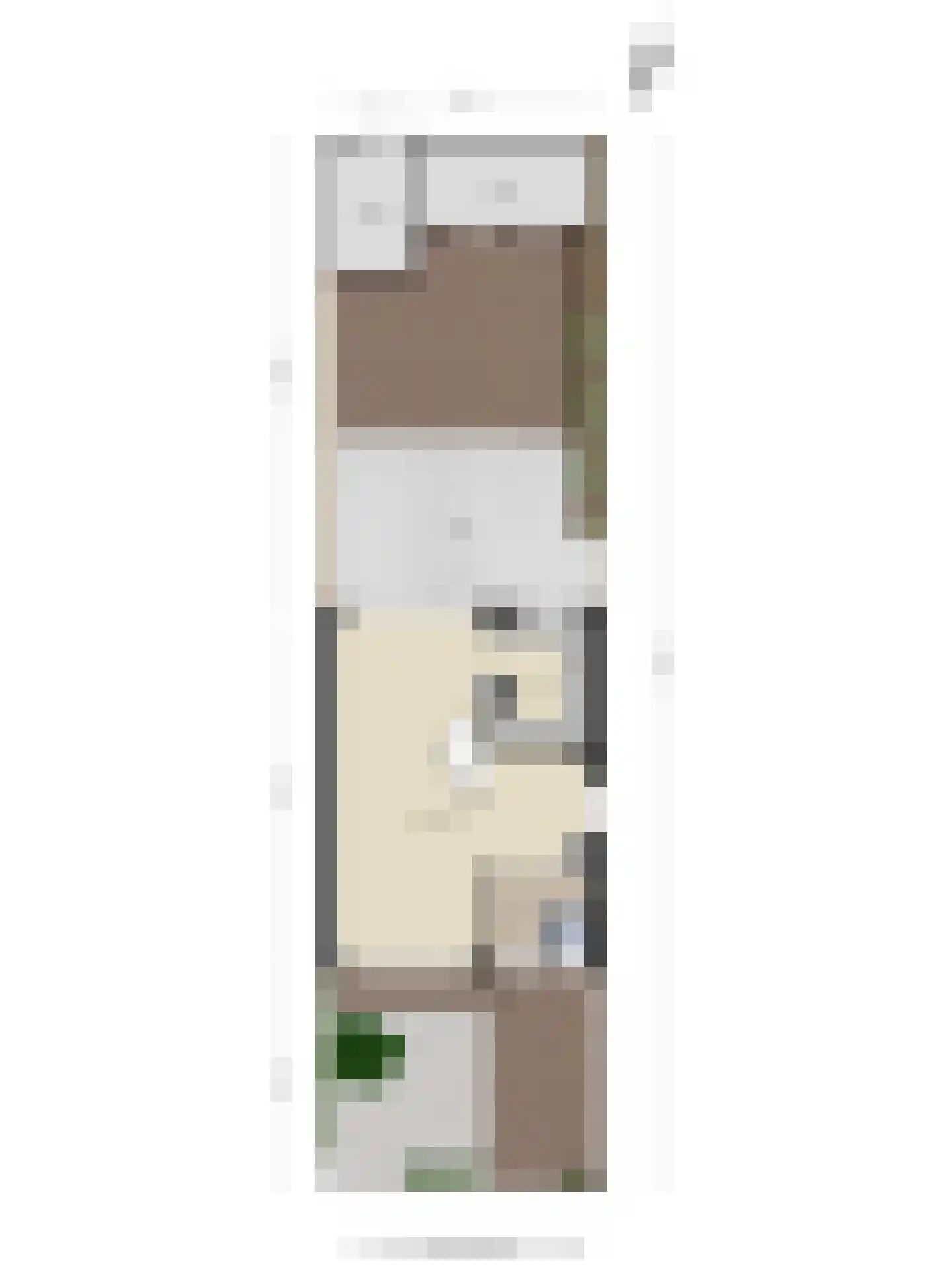 Louis Couperuslaan 14 Delft thumbnail 42