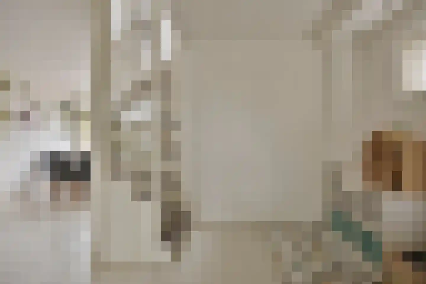 Louis Couperuslaan 14 Delft thumbnail 9
