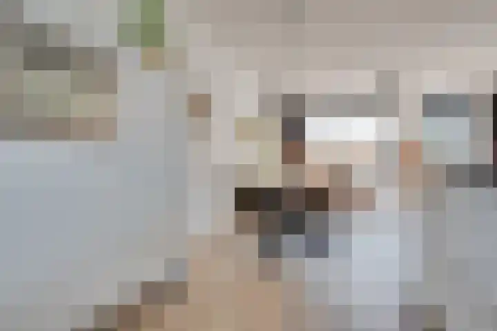 Louis Couperuslaan 29 's-Hertogenbosch thumbnail 12