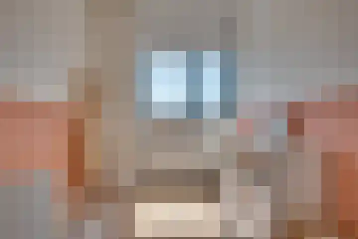 Louis Couperuslaan 29 's-Hertogenbosch thumbnail 16