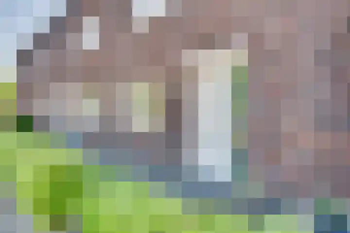 Louis Couperuslaan 29 's-Hertogenbosch thumbnail 23
