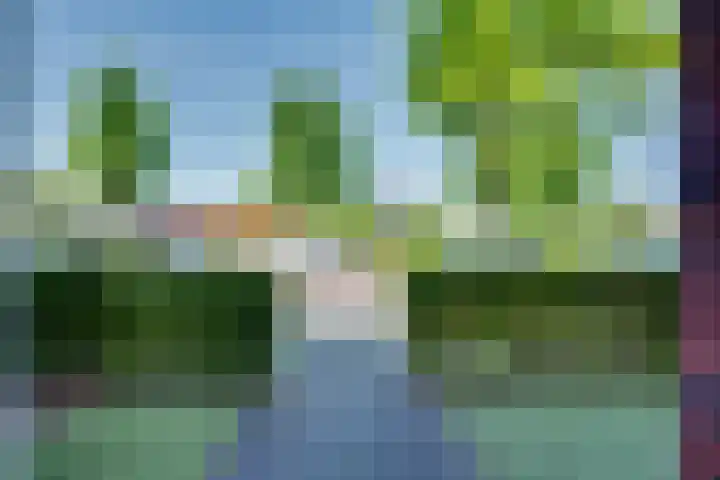 Louis Couperuslaan 29 's-Hertogenbosch thumbnail 24