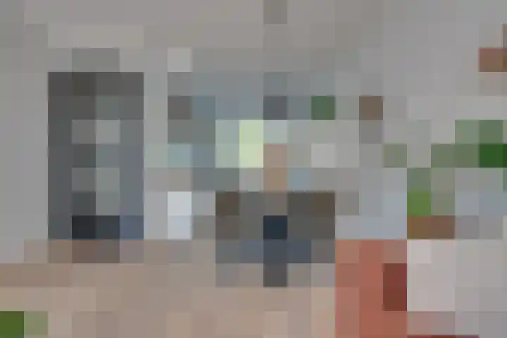 Louis Couperuslaan 29 's-Hertogenbosch thumbnail 8