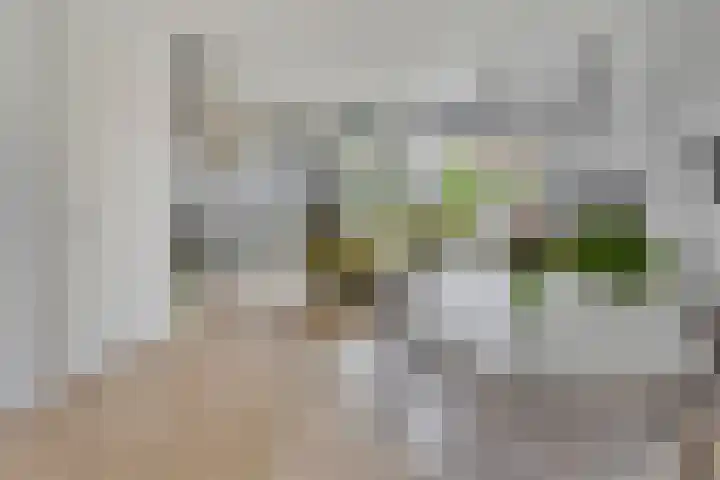 Louis Couperuslaan 31 's-Hertogenbosch thumbnail 10