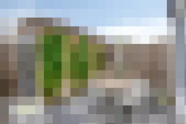 Louis Couperuslaan 31 's-Hertogenbosch thumbnail 11