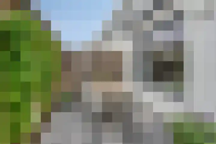 Louis Couperuslaan 31 's-Hertogenbosch thumbnail 12