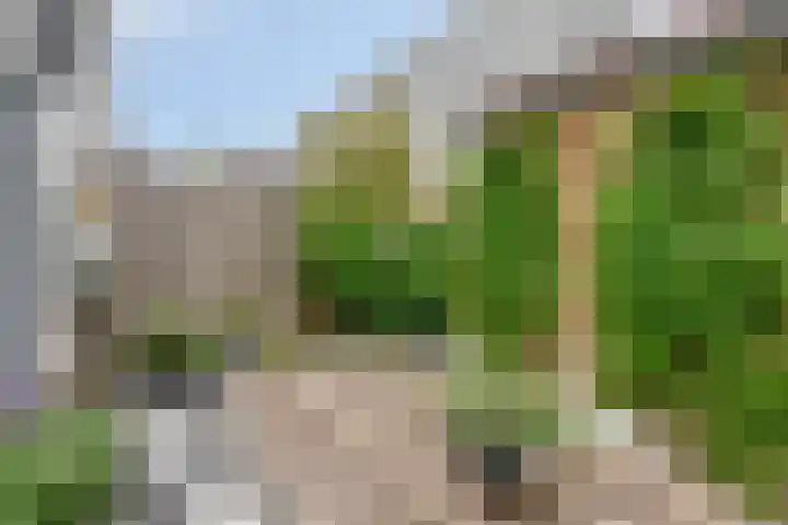 Louis Couperuslaan 31 's-Hertogenbosch thumbnail 14