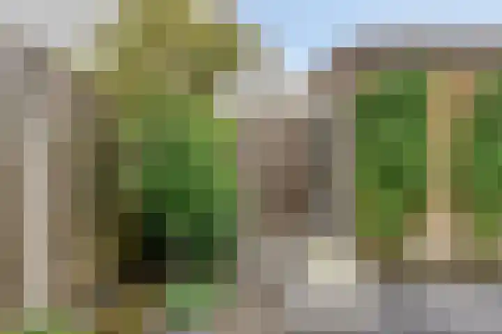 Louis Couperuslaan 31 's-Hertogenbosch thumbnail 15