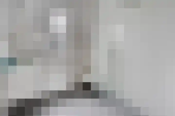Louis Couperuslaan 31 's-Hertogenbosch thumbnail 24