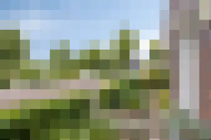 Louis Couperuslaan 31 's-Hertogenbosch thumbnail 26