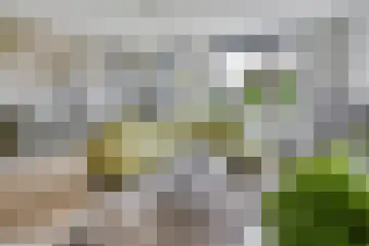 Louis Couperuslaan 31 's-Hertogenbosch thumbnail 5