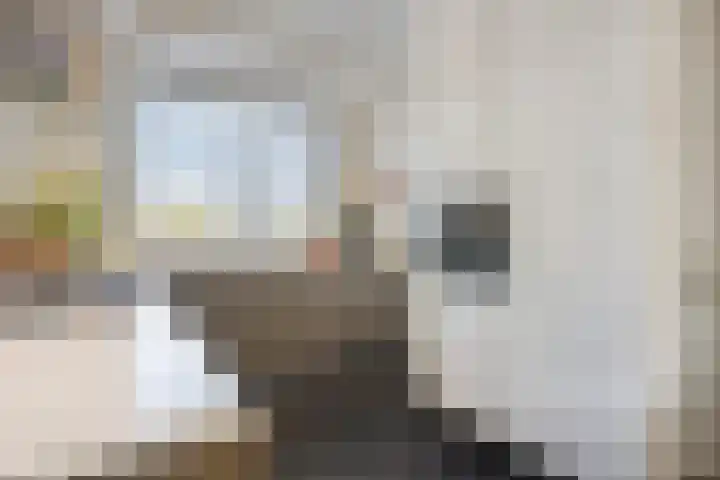 Louis Couperuslaan 33 's-Hertogenbosch thumbnail 12