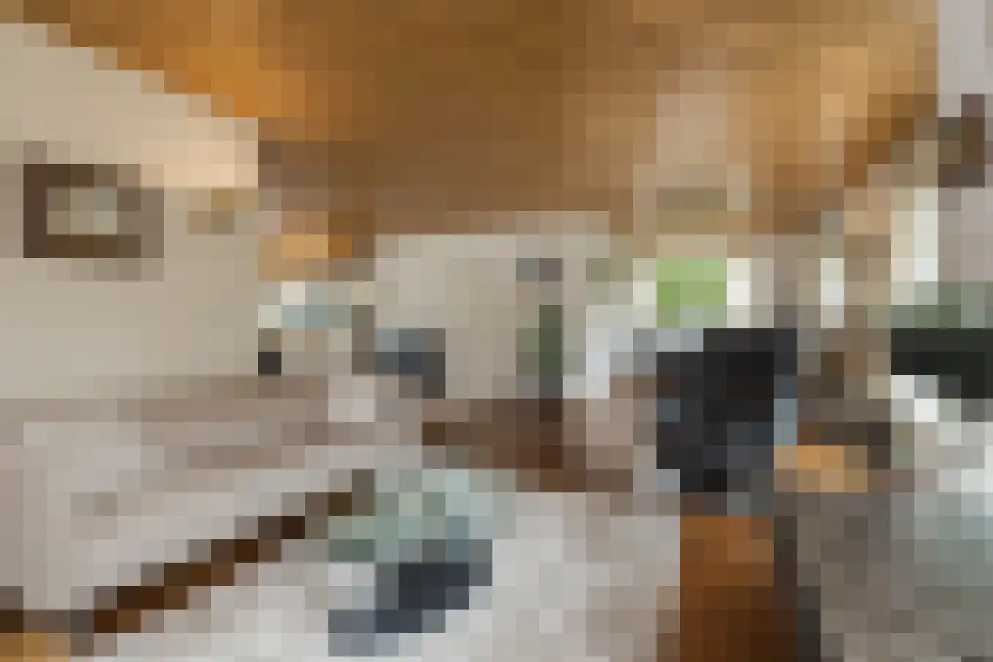 Louis Couperuslaan 7 Oegstgeest thumbnail 11