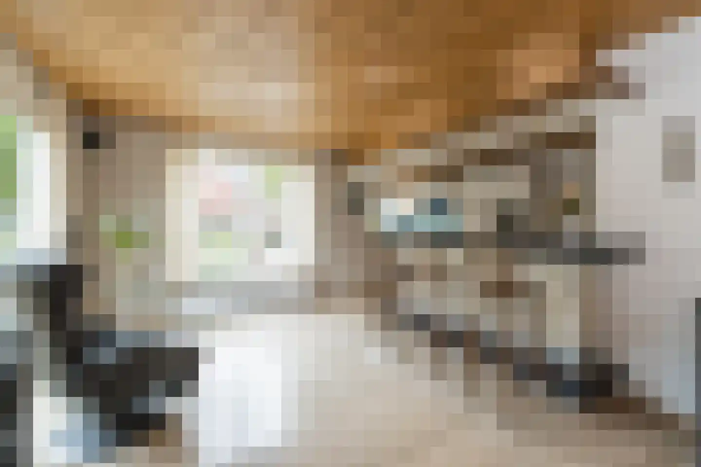 Louis Couperuslaan 7 Oegstgeest thumbnail 12