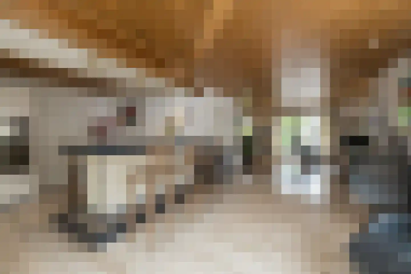 Louis Couperuslaan 7 Oegstgeest thumbnail 13
