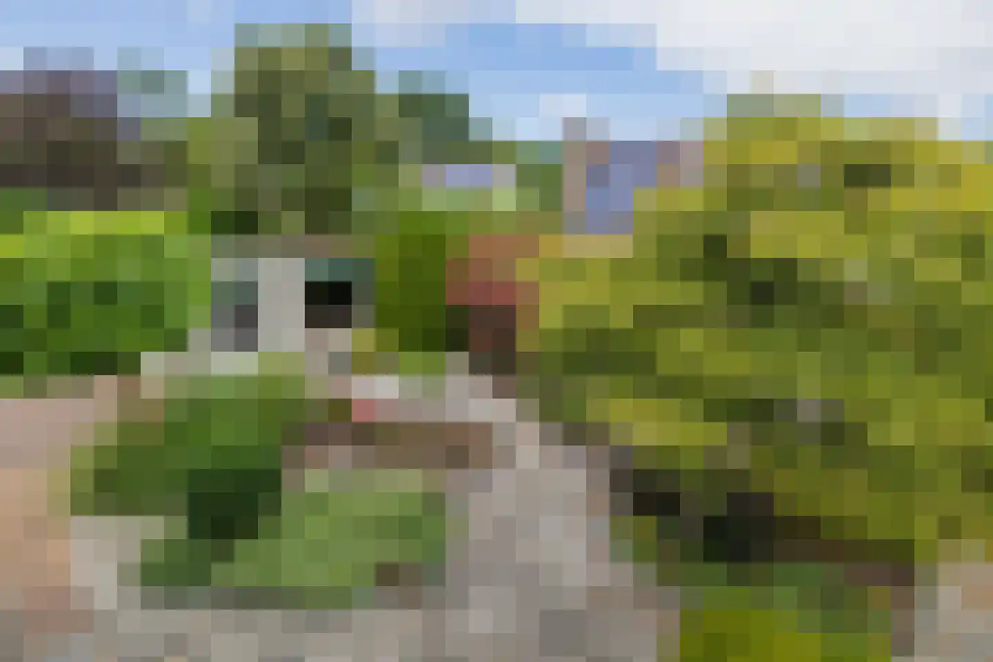Louis Couperuslaan 7 Oegstgeest thumbnail 33