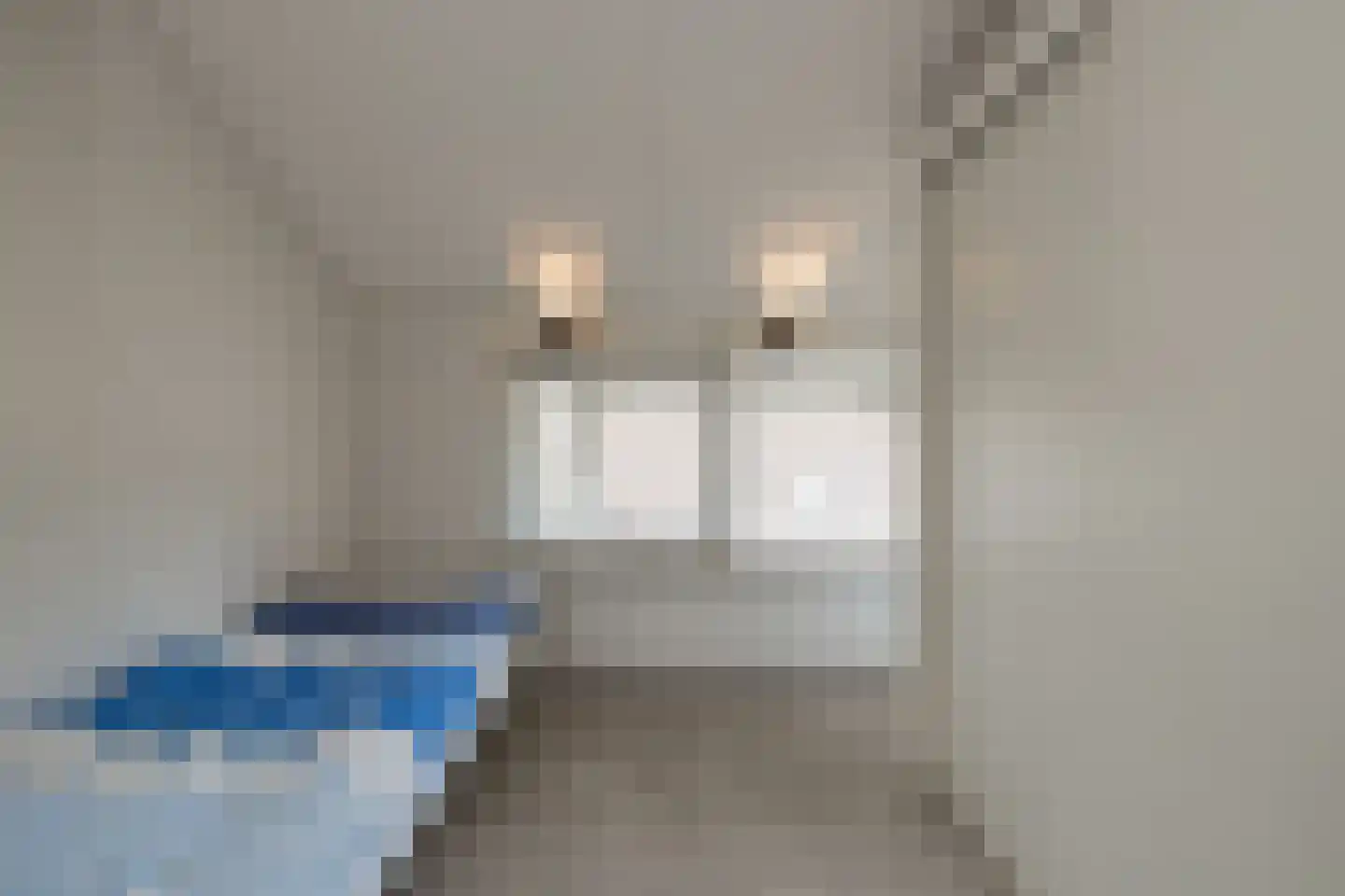 Louis Couperuslaan 7 Oegstgeest thumbnail 39