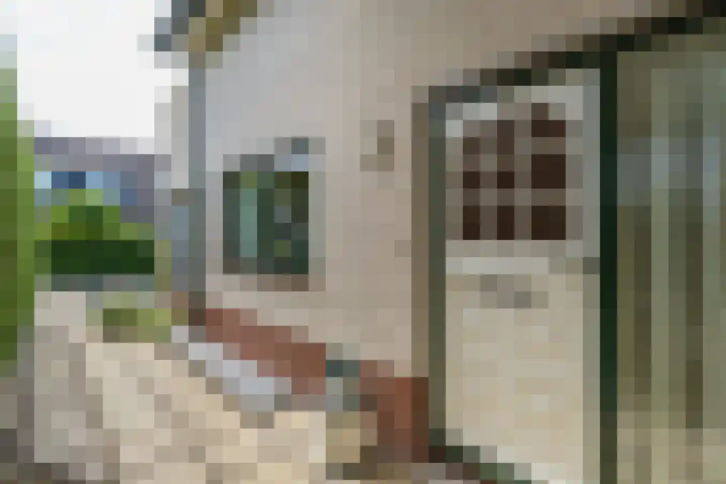 Louis Couperuslaan 7 Oegstgeest thumbnail 4