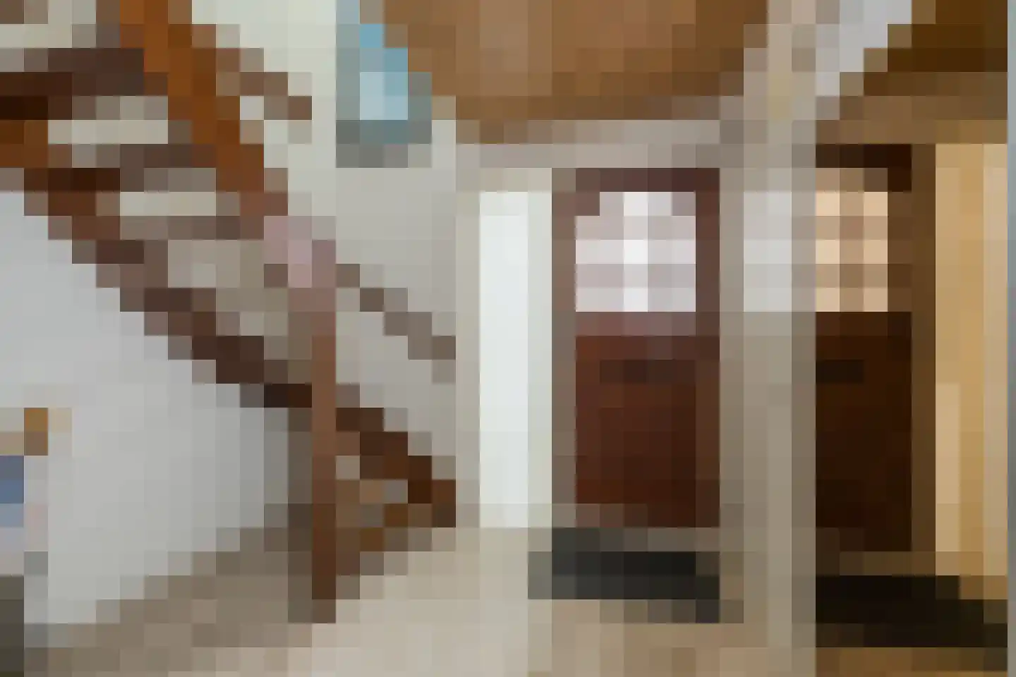 Louis Couperuslaan 7 Oegstgeest thumbnail 5