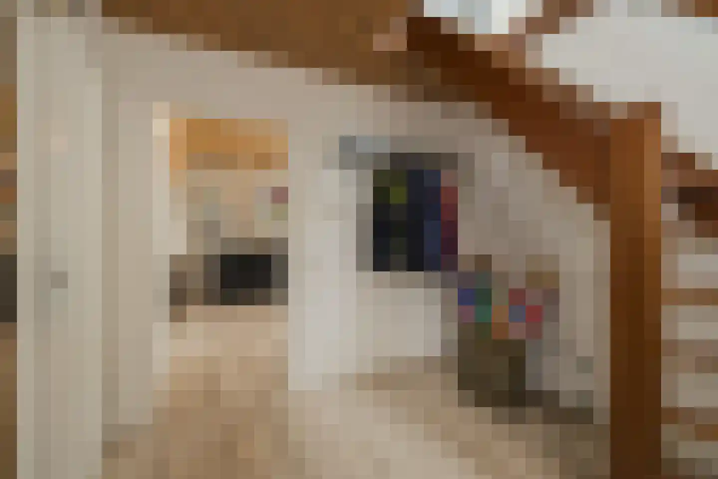 Louis Couperuslaan 7 Oegstgeest thumbnail 6