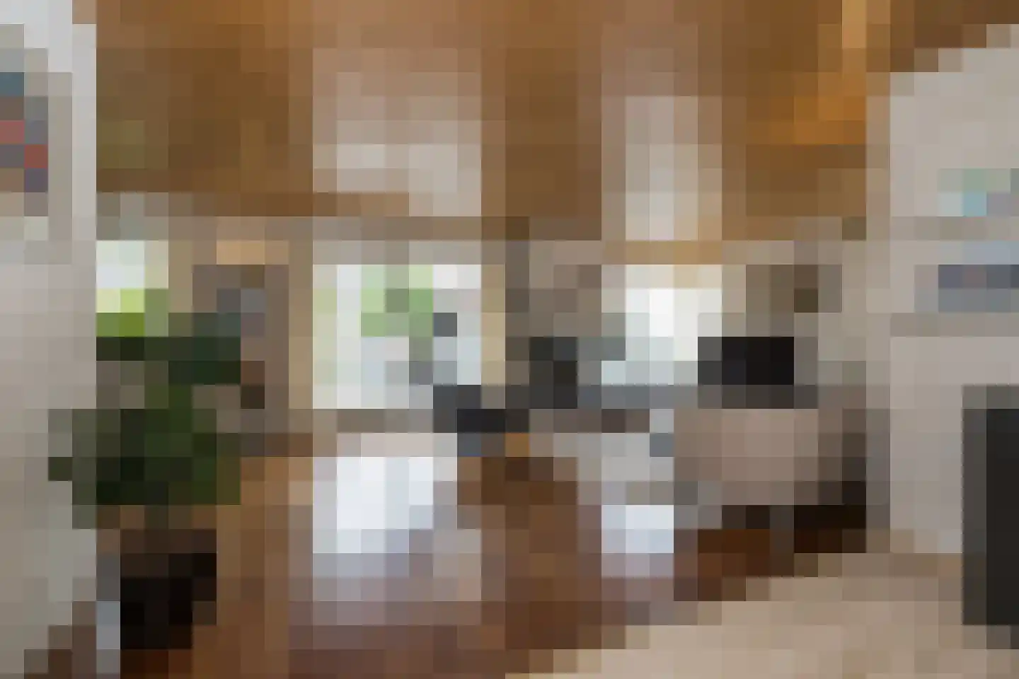 Louis Couperuslaan 7 Oegstgeest thumbnail 7
