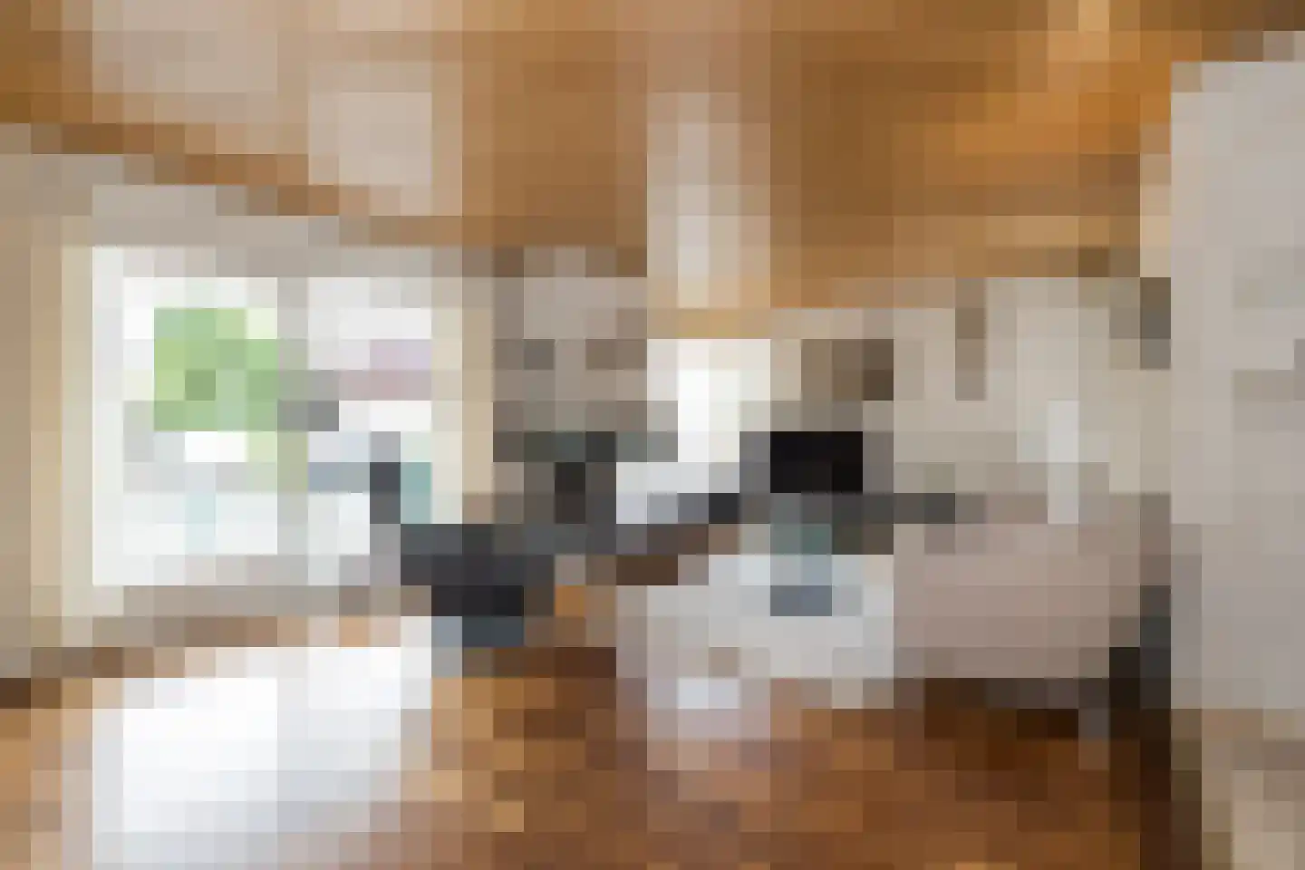 Louis Couperuslaan 7 Oegstgeest thumbnail 8