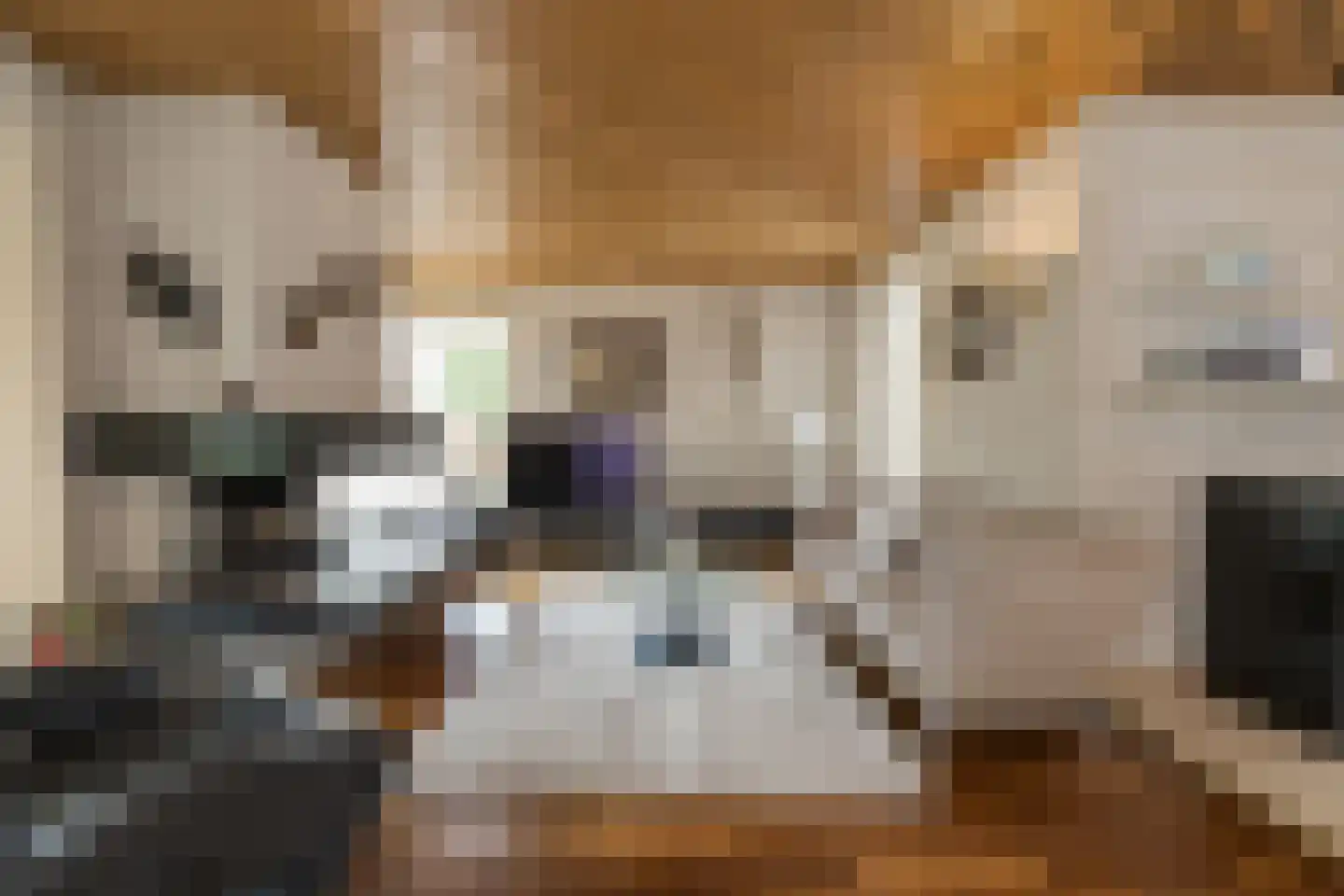 Louis Couperuslaan 7 Oegstgeest thumbnail 9