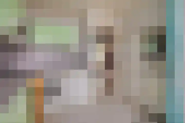 Louis Couperusplaats 121 Capelle aan den IJssel thumbnail 10