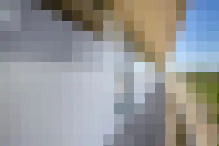 Louis Couperusplaats 129 Capelle aan den IJssel thumbnail 12