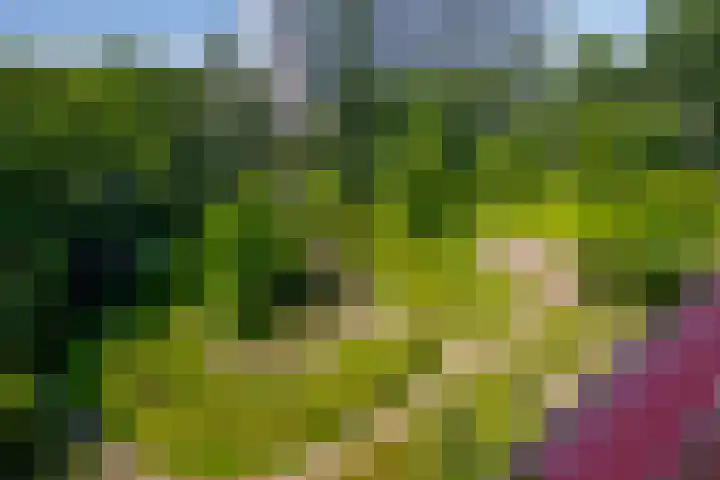 Louis Couperusplaats 129 Capelle aan den IJssel thumbnail 37