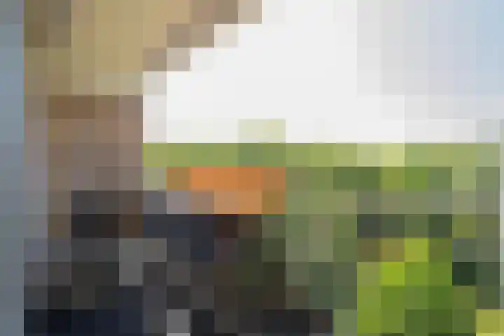 Louis Couperusplaats 131 Capelle aan den IJssel thumbnail 22