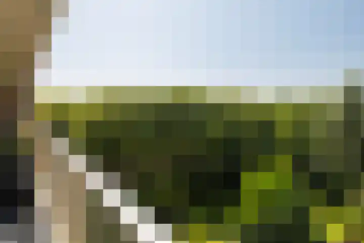 Louis Couperusplaats 131 Capelle aan den IJssel thumbnail 24