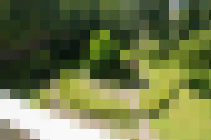 Louis Couperusplaats 131 Capelle aan den IJssel thumbnail 25