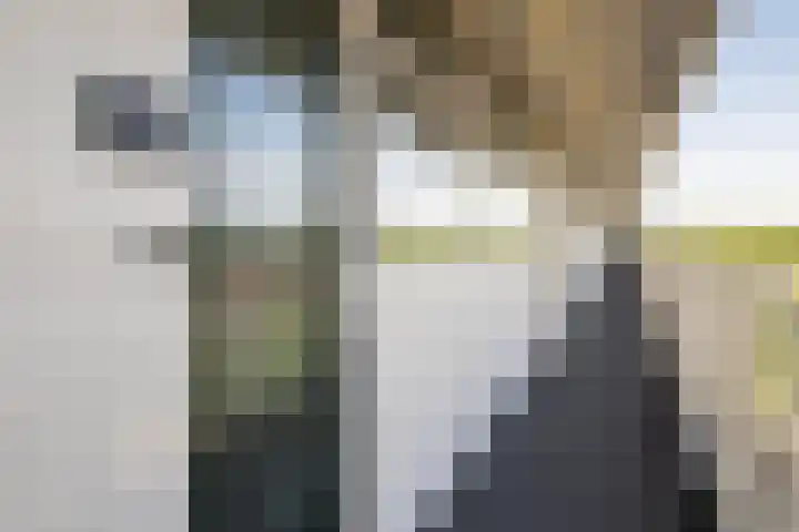 Louis Couperusplaats 131 Capelle aan den IJssel thumbnail 32