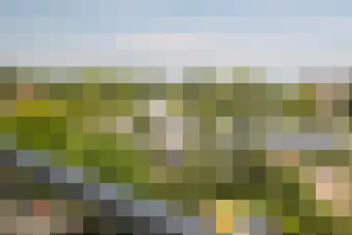 Louis Couperusplaats 131 Capelle aan den IJssel thumbnail 33