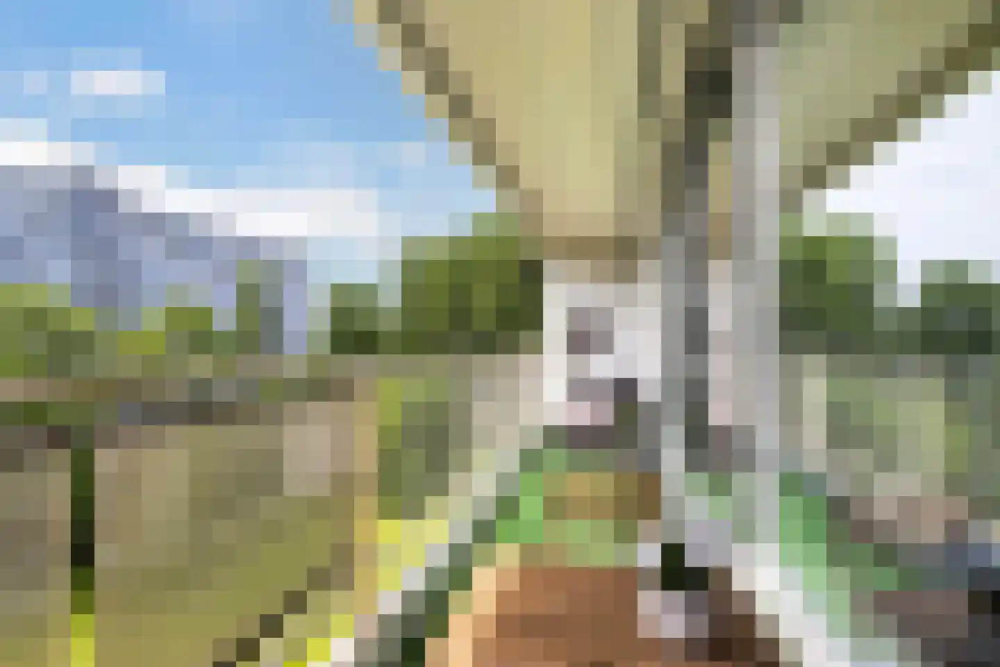 Louis Couperusplaats 133 Capelle aan den IJssel thumbnail 25