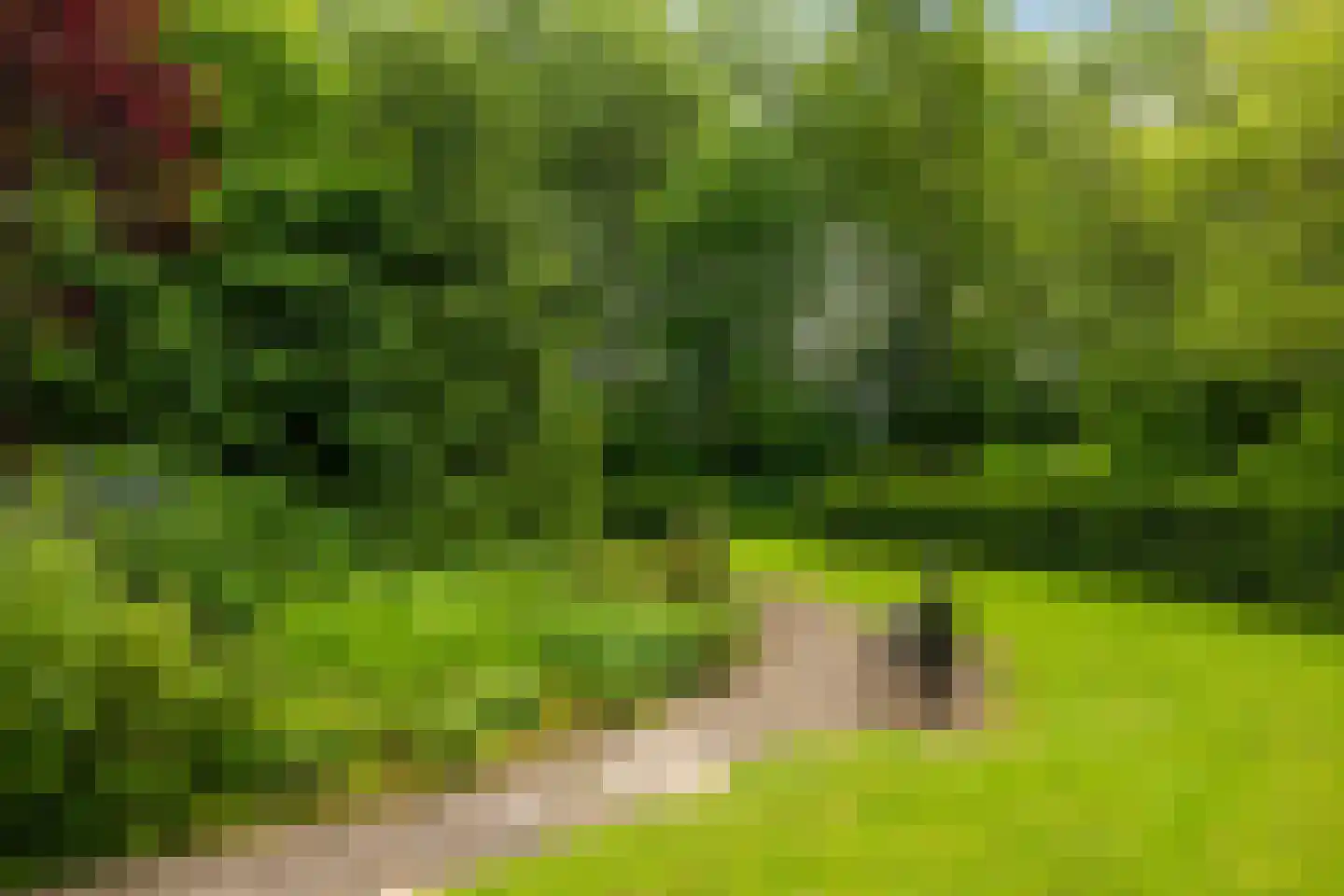 Louis Couperusplaats 133 Capelle aan den IJssel thumbnail 31