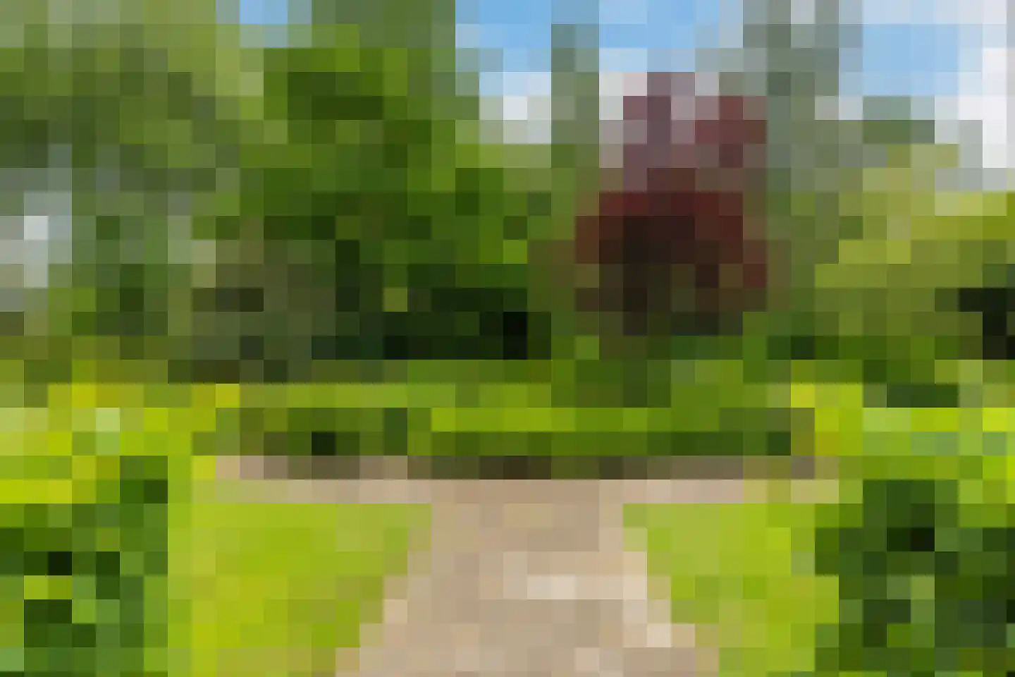 Louis Couperusplaats 133 Capelle aan den IJssel thumbnail 32