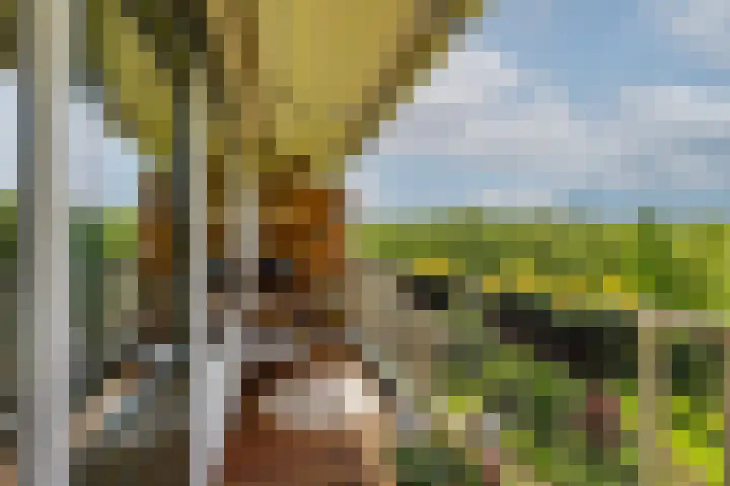 Louis Couperusplaats 135 Capelle aan den IJssel thumbnail 23