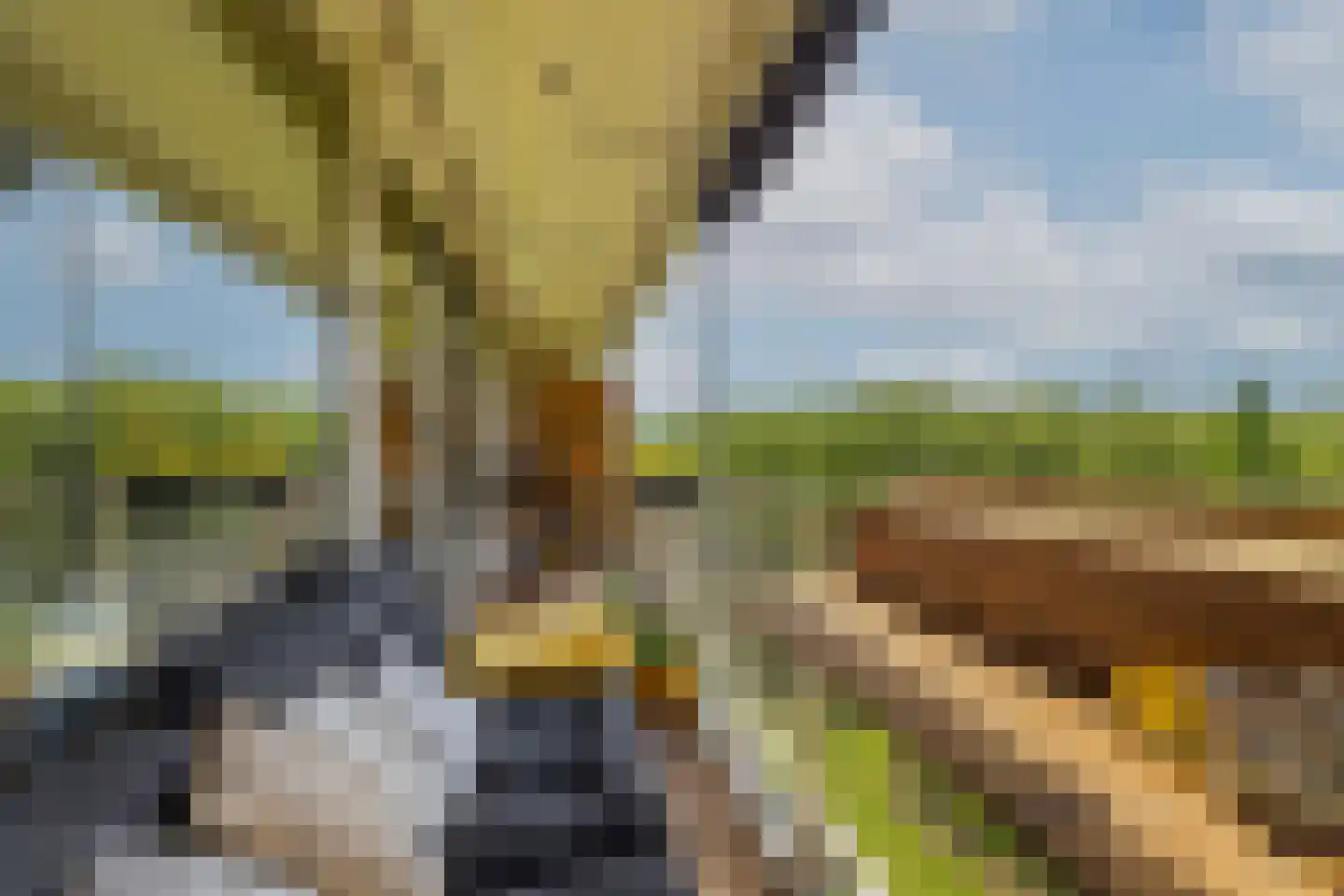 Louis Couperusplaats 135 Capelle aan den IJssel thumbnail 26
