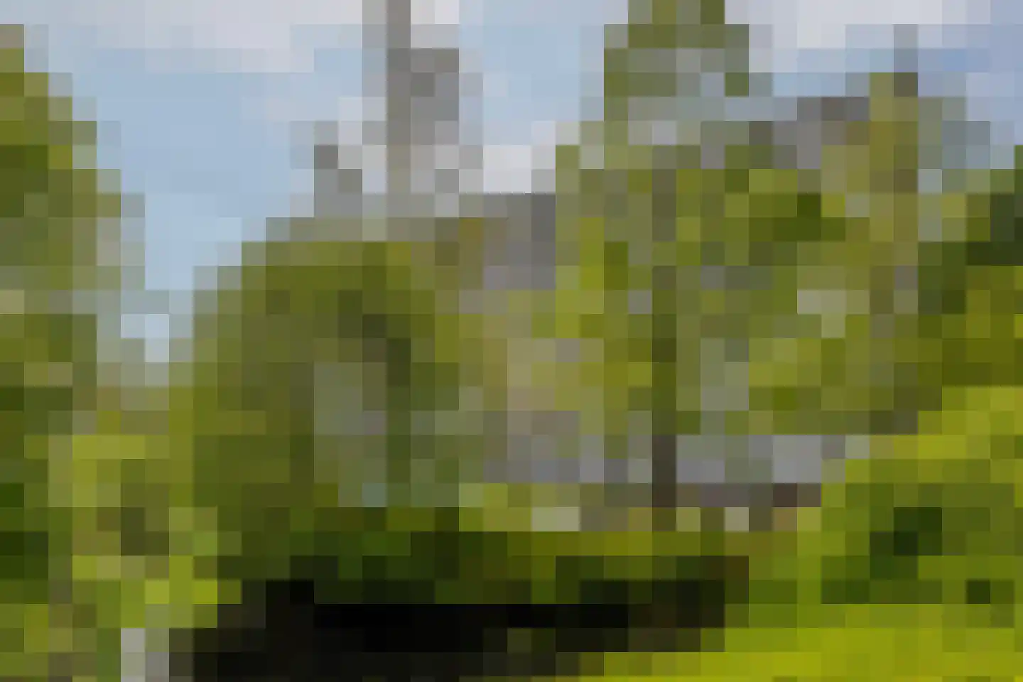 Louis Couperusplaats 135 Capelle aan den IJssel thumbnail 31