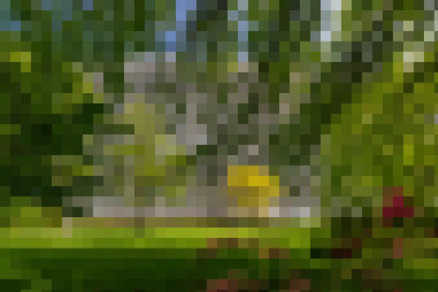 Louis Couperusplaats 135 Capelle aan den IJssel thumbnail 32