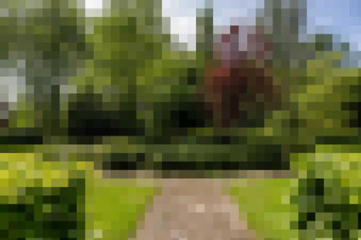 Louis Couperusplaats 135 Capelle aan den IJssel thumbnail 33