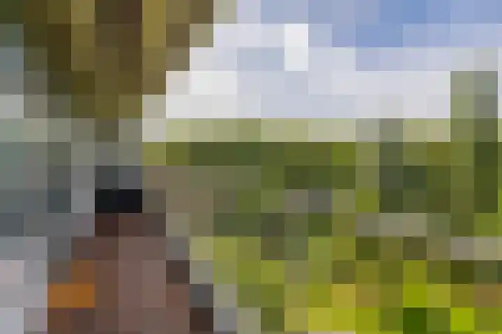 Louis Couperusplaats 139 Capelle aan den IJssel thumbnail 31