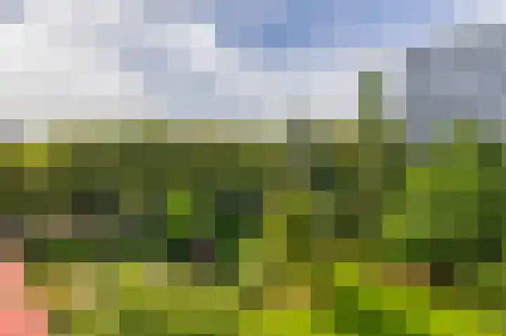 Louis Couperusplaats 139 Capelle aan den IJssel thumbnail 32