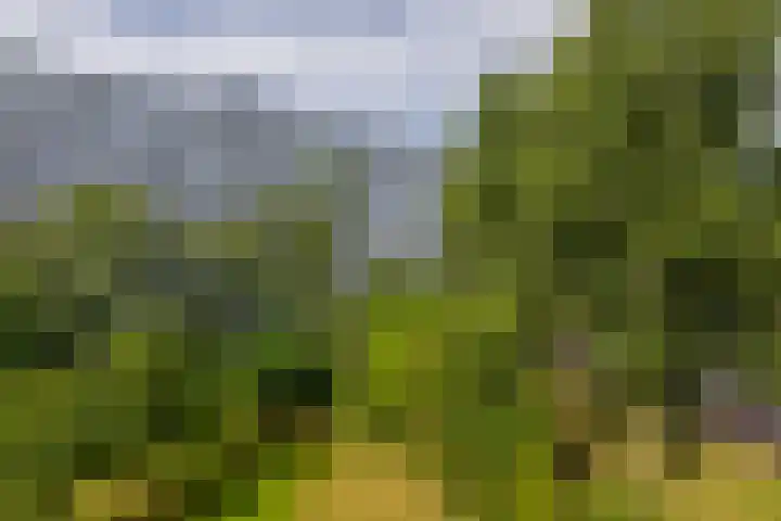 Louis Couperusplaats 139 Capelle aan den IJssel thumbnail 33