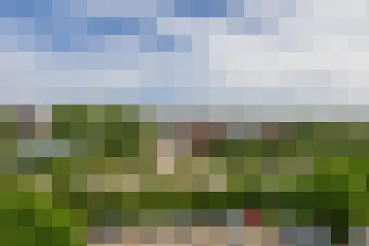 Louis Couperusplaats 139 Capelle aan den IJssel thumbnail 34