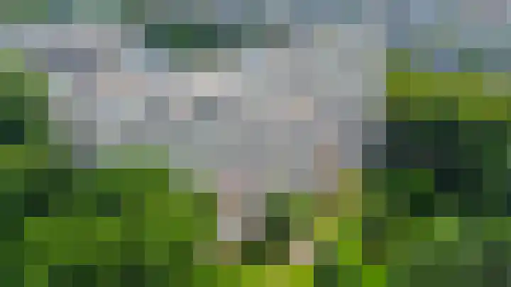 Louis Couperusplaats 139 Capelle aan den IJssel thumbnail 49