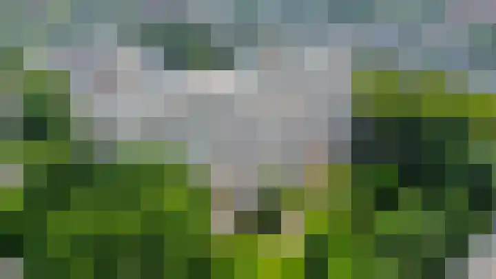 Louis Couperusplaats 139 Capelle aan den IJssel thumbnail 50
