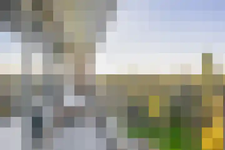 Louis Couperusplaats 169 Capelle aan den IJssel thumbnail 4